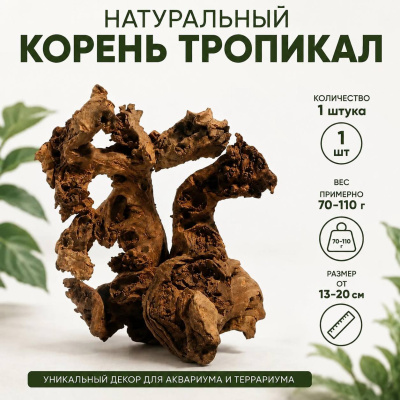 Корень тропикал 1 шт