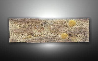 Объемный декоративный фон Red Sea 200х70 см Объемный декоративный фон Red Sea 200х70 см