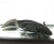 Аксолотль Агатовый Дракон, S Ambystoma mexicanum
