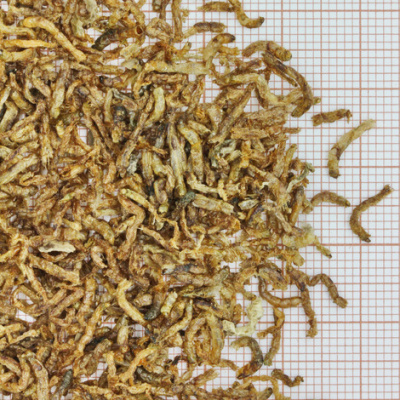 JBL NovoFil - Личинки красного комара, высушенные по технологии вакуумной заморозки, 100 мл. (8 г.),