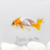 Ранчу Красно-Белый (S) Carassius auratus Ранчу Красно-Белый (S) Carassius auratus