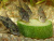 Коридорас Крапчатый Corydoras paleatus