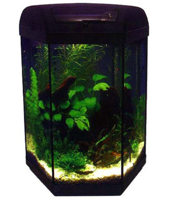Aквариум HEXAGON 40/45  60L ECONOLINE
