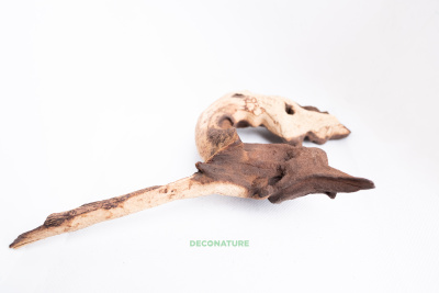 DECO NATURE WOOD MOPANE M - Натуральная коряга африканского дерева мопани от 15 до 19 см
