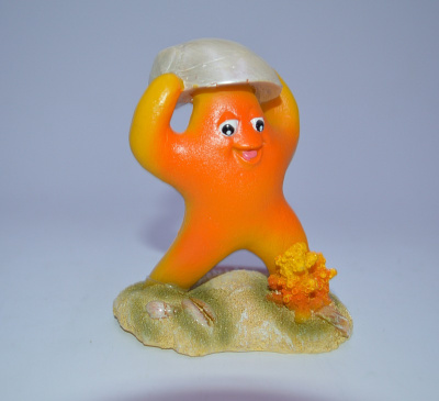 Грот Морская звездочка оранжевая