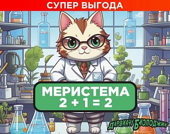 Супер выгода. Меристема в магазине 2 + 1 = 2
