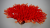 Искуственный коралл Acropoa Hyacinthus 28x26x8 Искуственный коралл Acropoa Hyacinthus 28x26x8