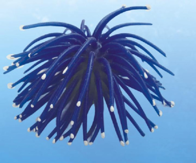 Грот Коралл мягкий, синий, 12*13.5*6см (светящийся)