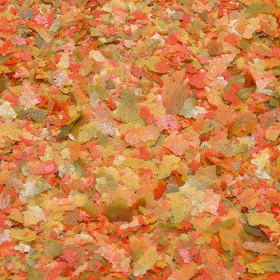 JBL NovoBel - Основной корм в форме хлопьев для всех аквариумных рыб, 1000 мл. (190 г.)