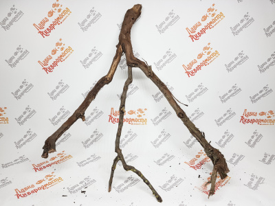 Лоза виноградная, 1кг