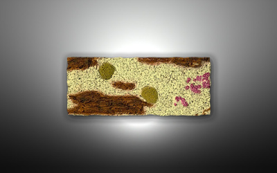 Объемный декоративный фон Red Sea 100х50 см Объемный декоративный фон Red Sea 100х50 см