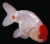 Ранчу Красно-Белый (S) Carassius auratus