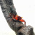 Краб Красный Дьявол Geosesarma sp. Red Devil