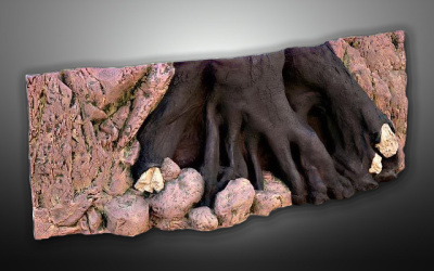 Объемный декоративный фон Amazonas 200х70 см Объемный декоративный фон Amazonas 200х70 см