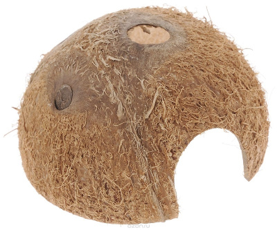 Кокос резной