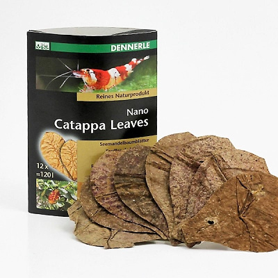 Dennerle Nano Catappa Leaves, 12 шт Листья миндального дерева