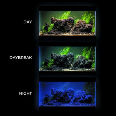 AQUAEL LEDDY TUBE DAY&NIGHT SUNNY 17Вт Светодиодный модуль со сменой дня и ночи
