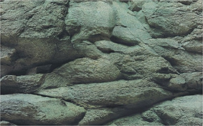 Фон для аквариума,двухсторонний, 30см