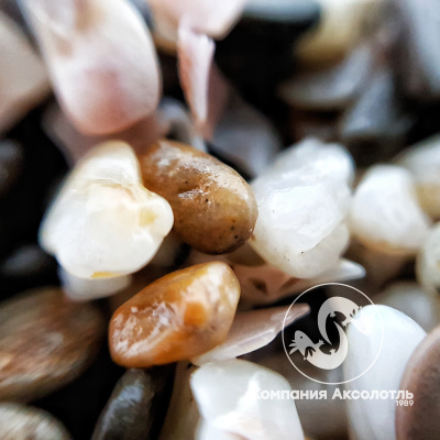 Галька Крым №1 4-6 мм, 5 кг