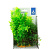 PRIME Композиция из пластиковых растений 20см PR-60207