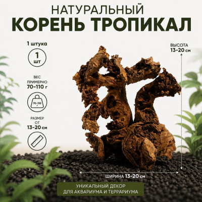 Корень тропикал 1 шт