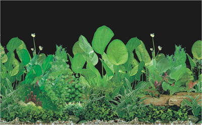 Фон для аквариума,двухсторонний,40см (15 метров)