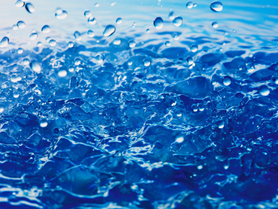 Живая аквариумная вода, 1 литр