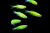 Данио рерио (GloFish) Зеленый светящийся Brachydanio rerio