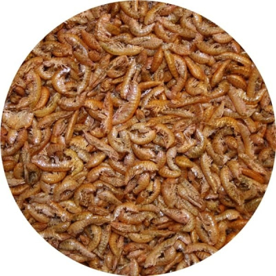 Гаммарус сухой, ведро 2л, 400 г.