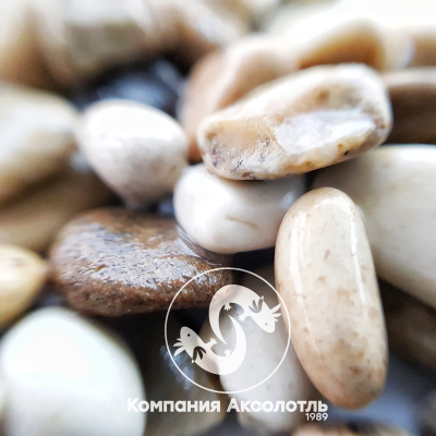 Галька Реликтовая Светлая №4 8-15 мм, 5 кг