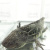 Аксолотль Темный Рыцарь, S Ambystoma mexicanum Аксолотль Темный Рыцарь, S Ambystoma mexicanum