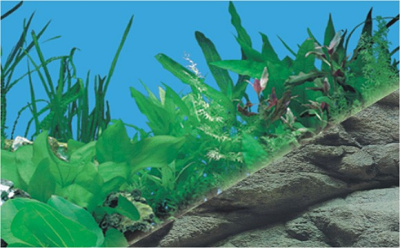 Фон для аквариума,двухсторонний, 60см  (15 метров)