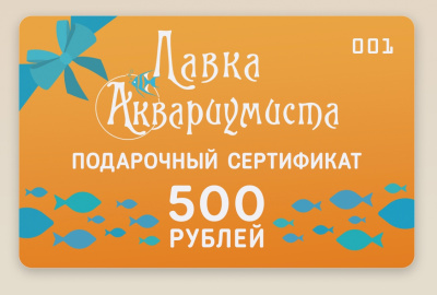 Подарочный сертификат 500 рублей