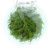 Элеохарис Мини Eleocharis sp. Mini (меристемное растение)