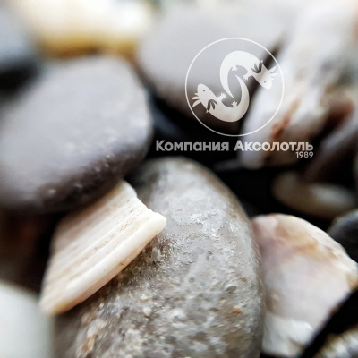 Галька Крым №3 8-12 мм, 5 кг