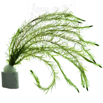 Майяка Речная, с грузом