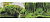 Фон для аквариума двухсторонний Коряги с растениями Растительные холмы 30х60см (9084/9085)