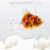 Риукин Ситцевый (SM) Carassius auratus Риукин Ситцевый (SM) Carassius auratus